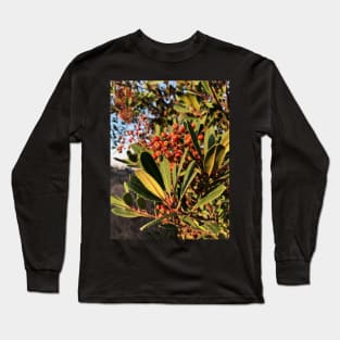 Bright Red Berries in a California Park Long Sleeve T-Shirt